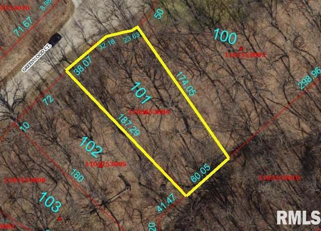 Property at 101 Greenwood Ct, Dahinda, IL 61428