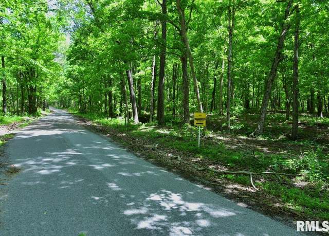 Property at 000 Battleford Rd, Stonefort, IL 62987