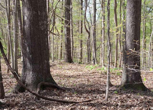 Property at 000 Bean Ridge Rd, Thebes, IL 62990