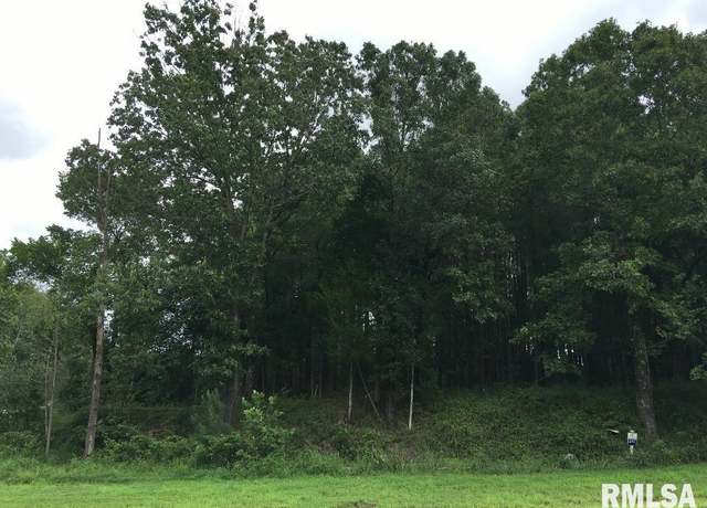 Property at 00 Parrish Ridge Ln, Goreville, IL 62972