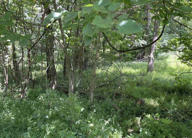 Property at Lot 246 Mark Dr, Goreville, IL 62939