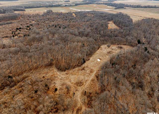 Property at 000 Propes Rd, Iuka, IL 62849