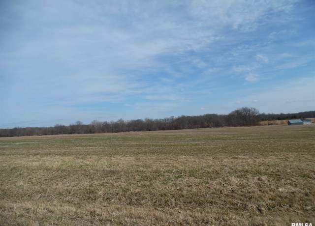 Property at Tract 3 N Mcdermott Ln, Mt Vernon, IL 62864