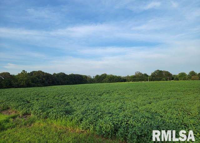 Property at 000 Main St, Desoto, IL 62924
