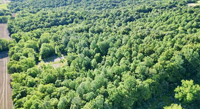 Photo of 000 Yellow Springs Rd, Elizabethtown, IL 62931