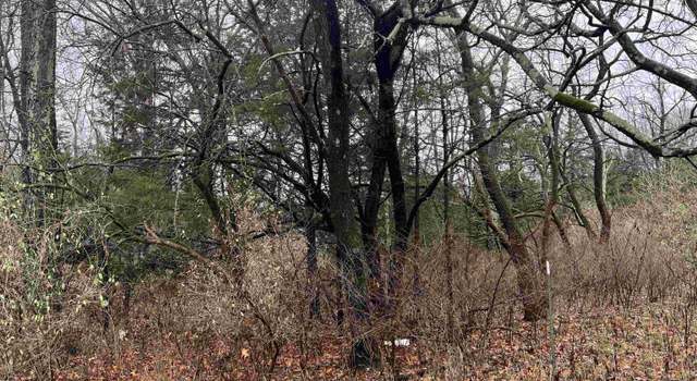 Photo of 2975 Eagle Point Bay Rd, Goreville, IL 62939