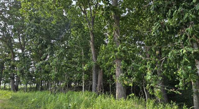 Photo of 000 Wilson Rd, Kinmundy, IL 62854