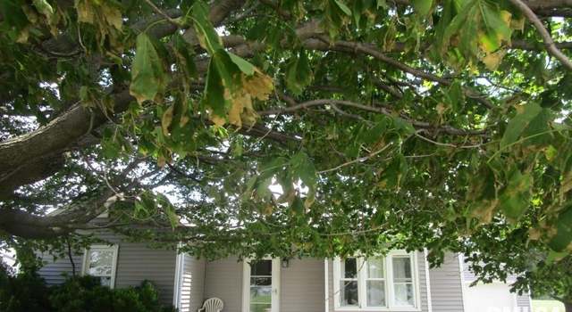 Photo of 609 N 1st St, Alpha, IL 61413