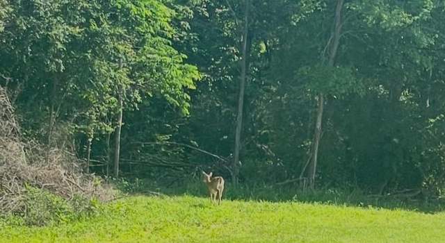 Photo of 000 N America Rd, Galatia, IL 62935