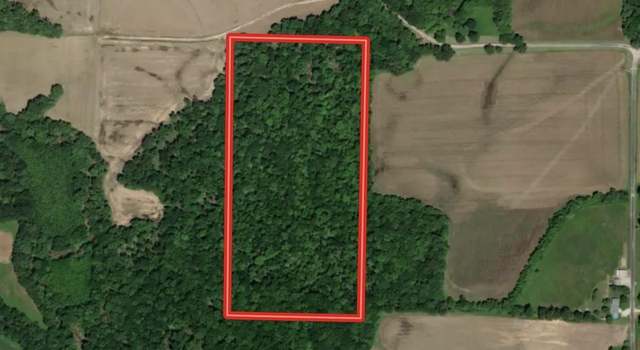 Photo of 000 E Flagg Rd, Scheller, IL 62883