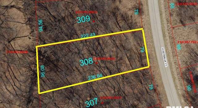 Photo of 308 Sweetbriar Ct, Dahinda, IL 61428