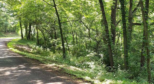 Photo of 0 W Bristol Hollow Rd, Medina Township, IL 61525