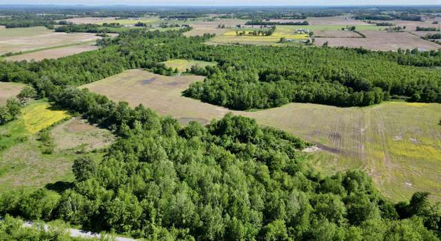 Photo of 000 Netty Green Rd, Galatia, IL 62935
