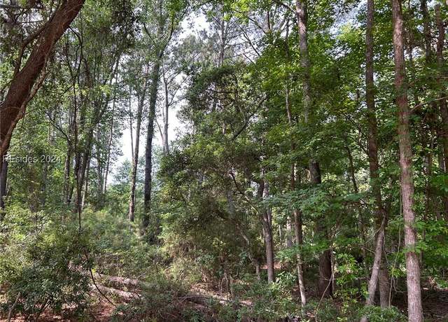 Property at 114 Cooper River Landing Rd, Daufuskie Island, SC 29915