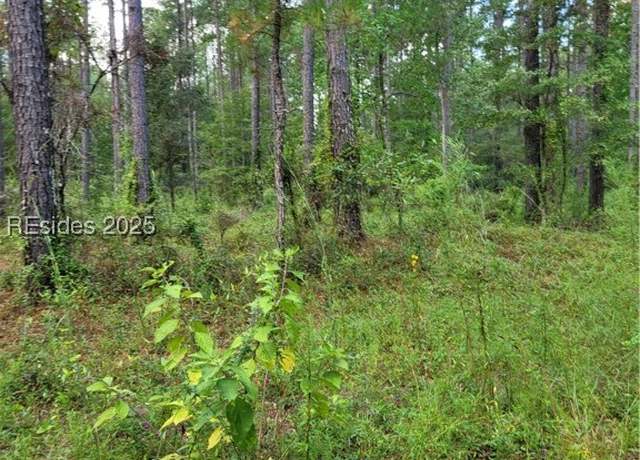 Property at TBD Tina Manker, Ridgeland, SC 29936