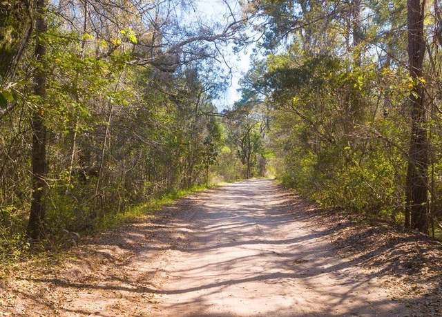 Property at 15 Chaplin Dr, Saint Helena Island, SC 29920