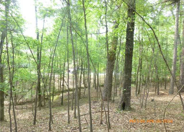 Property at Lot 8 Block 15 Colleen Pt, Mccormick, SC 29835