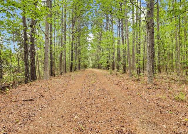 Property at 2070 Freedom Pkwy, Limehouse, SC 29927