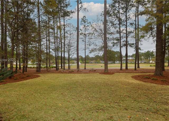 Property at 313 Firethorn Ln, Hardeeville, SC 29927