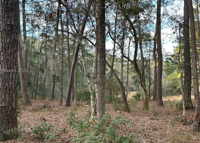 Property at 44 Masters Dr, Daufuskie Island, SC 29915