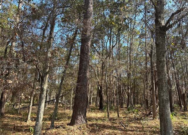 Property at 14 Captain Monroe Ln, Daufuskie Island, SC 29915