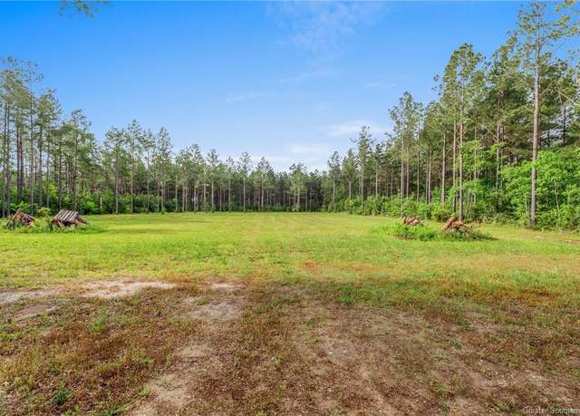 Property at 20191 Abie Fontenot Road Road, Iowa, LA 70647