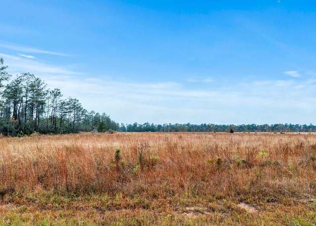 Property at Alcock Lot 8 Road Road, Longville, LA 70652
