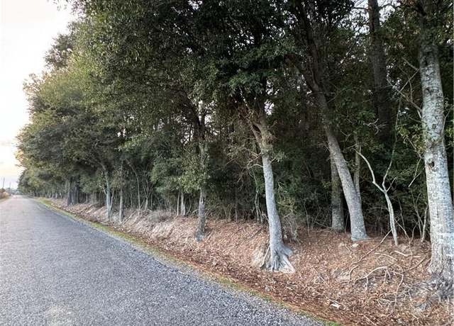Property at 0 Bearcat Road Road, Basile, LA