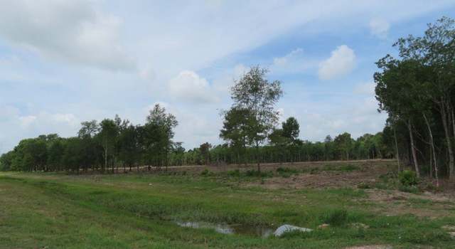 Photo of W Hwy 165 Highway Highway, Iowa, LA 70647