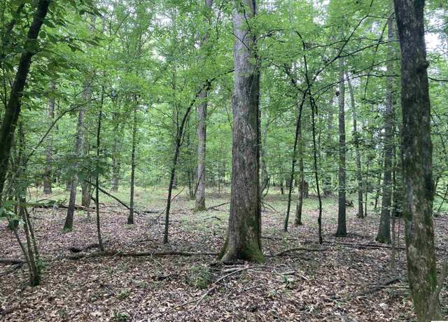 Property at 000 Krause Rd, Homer, LA 71040