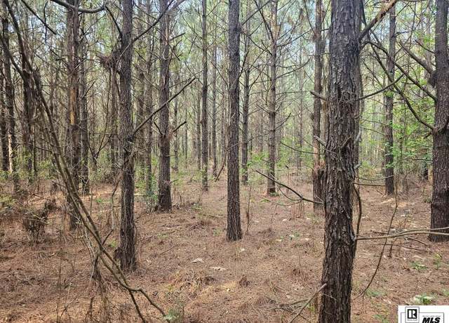 Property at 000 County Line Rd, Ruston, LA 71270