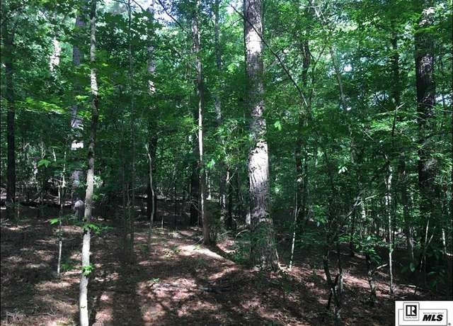 Property at 000 Woodyard Rd, Downsville, LA 71234