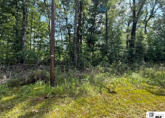 Property at 0 & 0 Masonic Rd, Farmerville, LA 71241