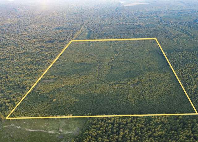 Property at 0 Highway 167, Junction City, LA 71256