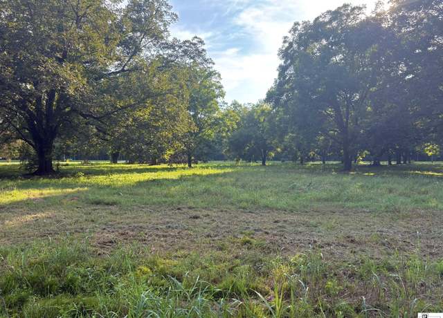 Property at 000 Highway 65 S, Tallulah, LA 71282