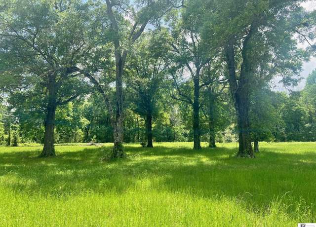 Property at 00 Hankins Ln, Oak Grove, LA 71263