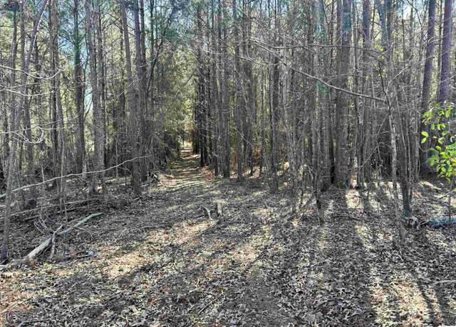 Property at 000 Ferry Rd, Farmerville, LA 71241
