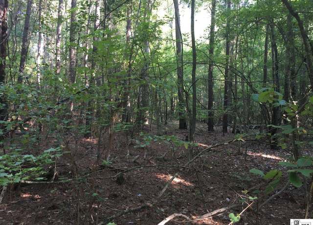 Property at 000 Highway 552, Downsville, LA 71234