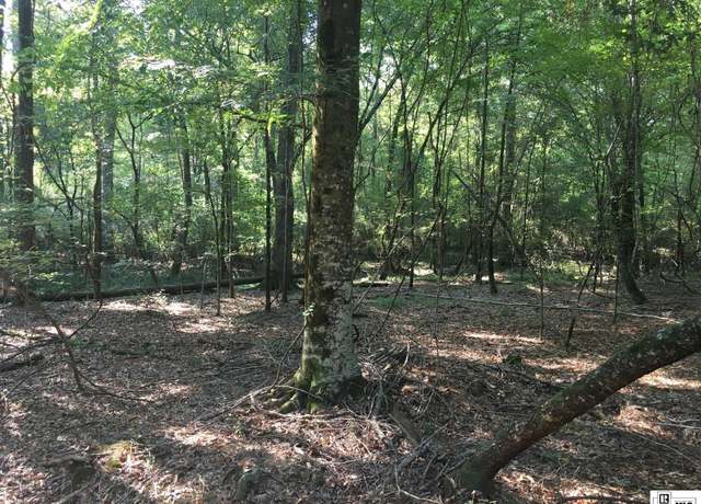 Property at 000 Highway 552, Downsville, LA 71234