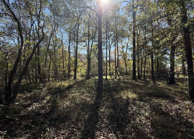 Property at 0 lot 3 Platts Lndg, Bernice, LA 71222