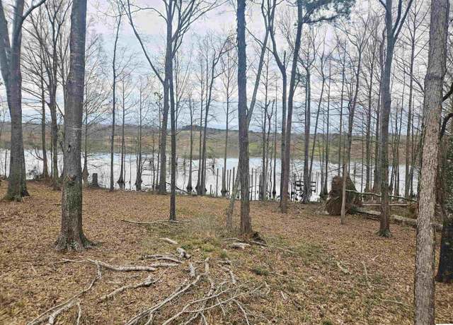 Property at 358 Lolley Rd, Downsville, LA 71234