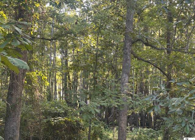 Property at 0 E Puckett Lake Rd, West Monroe, LA 71292