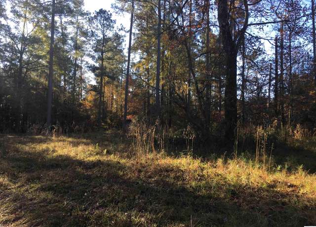 Property at 000 Highway 552, Downsville, LA 71234