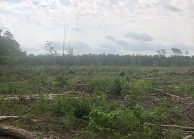 Property at 0 Columbia County Rd, Emerson, AR 71740