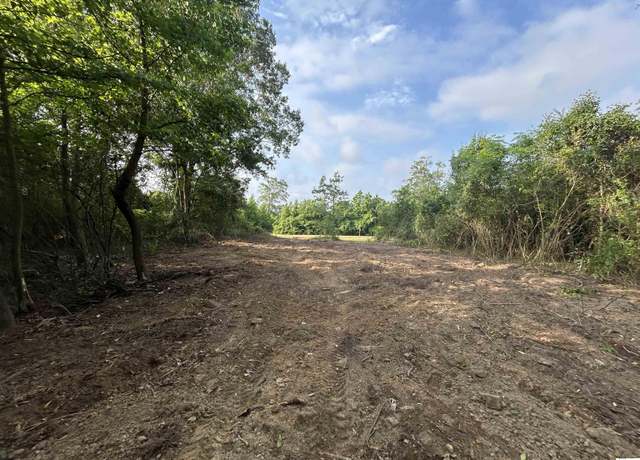 Property at 000 Florence Williams Rd, Farmerville, LA 71241