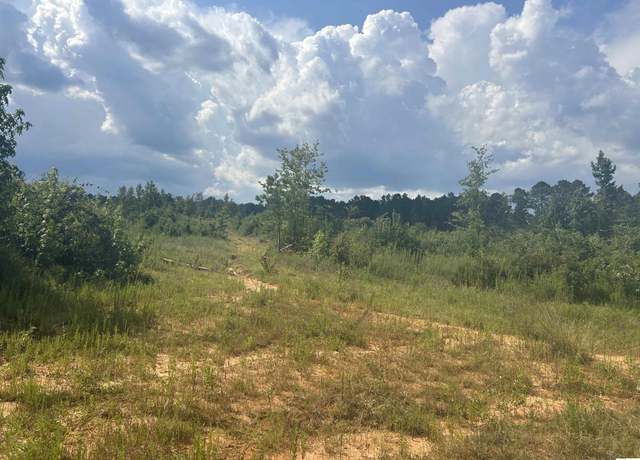 Property at 000 Turkey Creek Rd, Marion, LA 71260