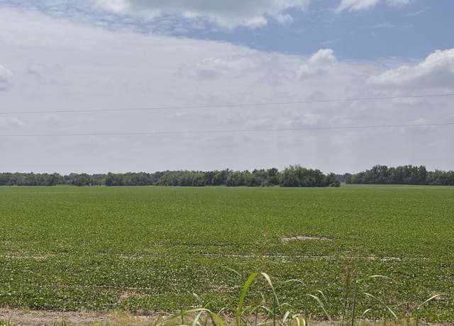 Property at 000 Levee Rd, Jonesville, LA 71343