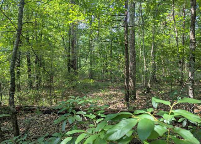 Property at 0 Highway 15, Downsville, LA 71234