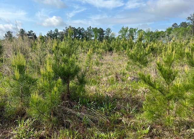 Property at 000 Century Loop, Chatham, LA 71226