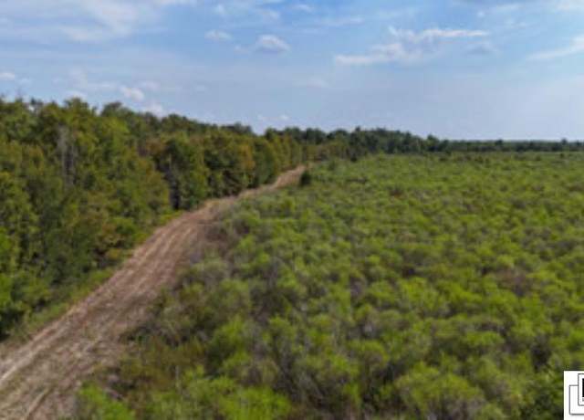 Property at 00 Hendrix Rd, Rayville, LA 71269